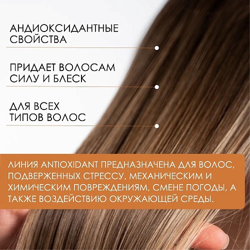 Маска антиоксидант для перегруженных волос INSIGHT Antioxidant 500 мл